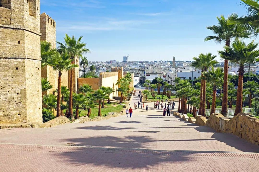 Un beau paysage avec beaucoup d'arbre 