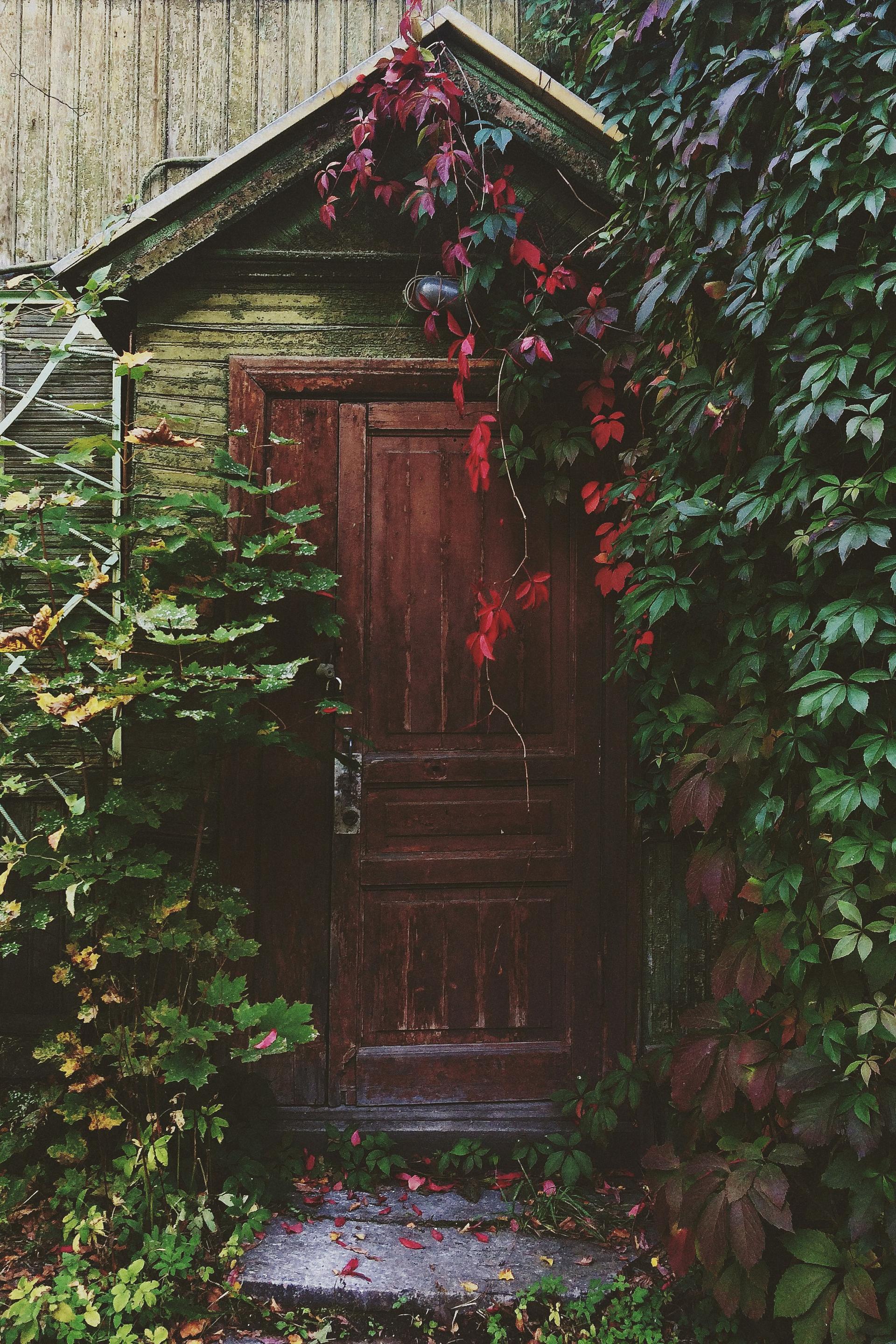 Une porte couverte de verdure