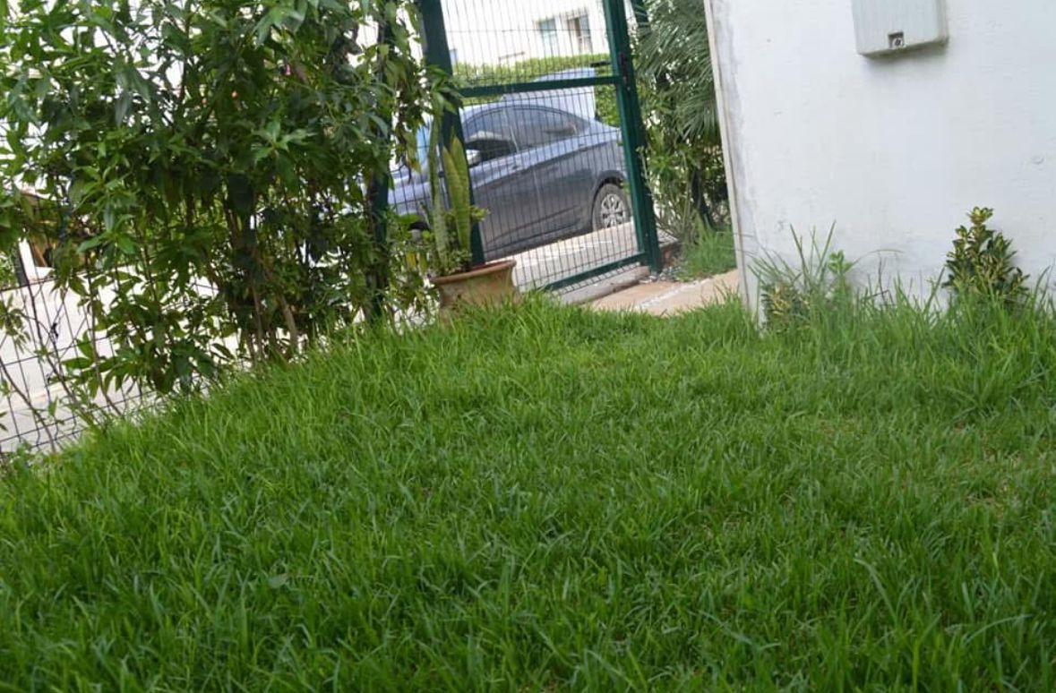 An image of the housing