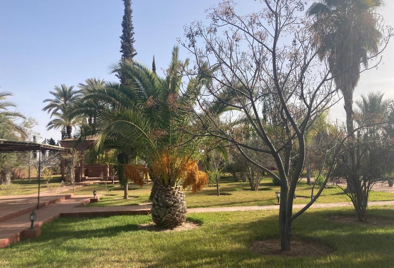 An image of the housing