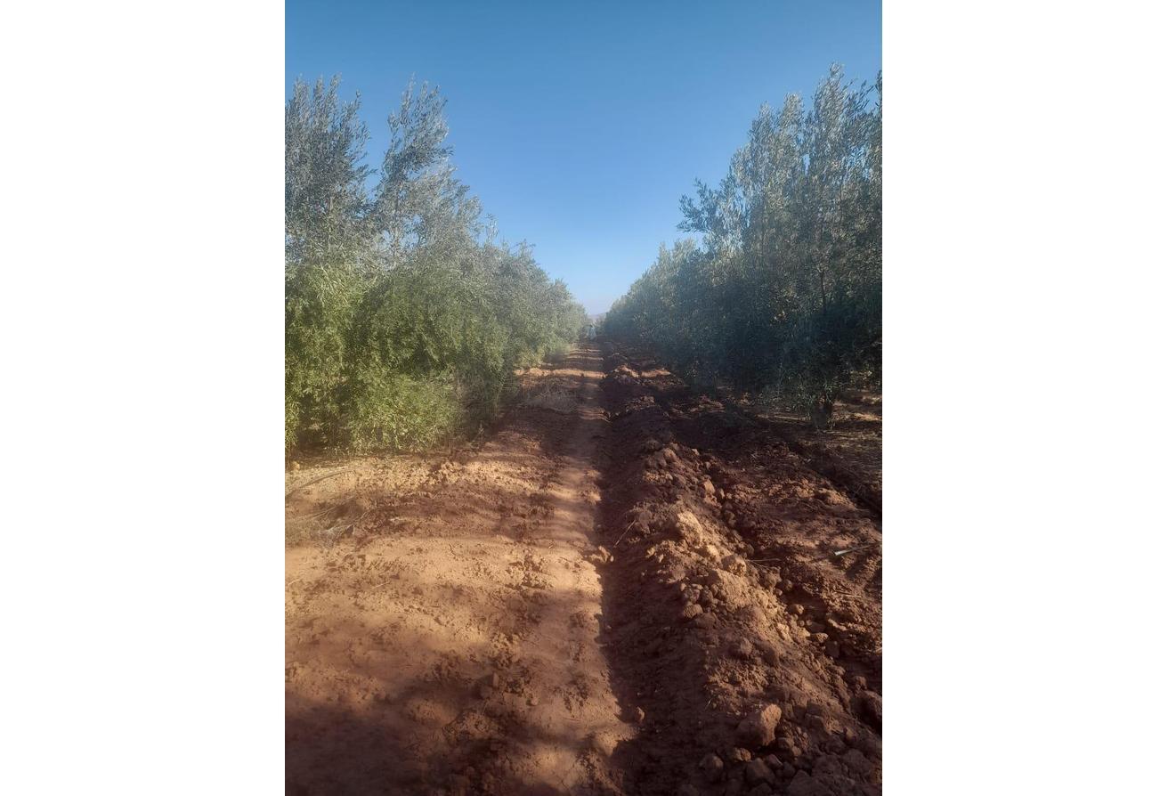 An image of the housing