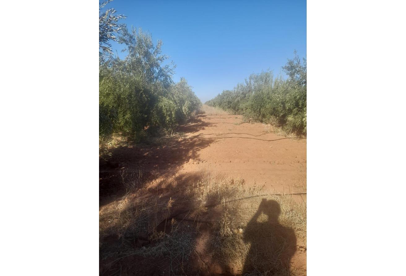 An image of the housing