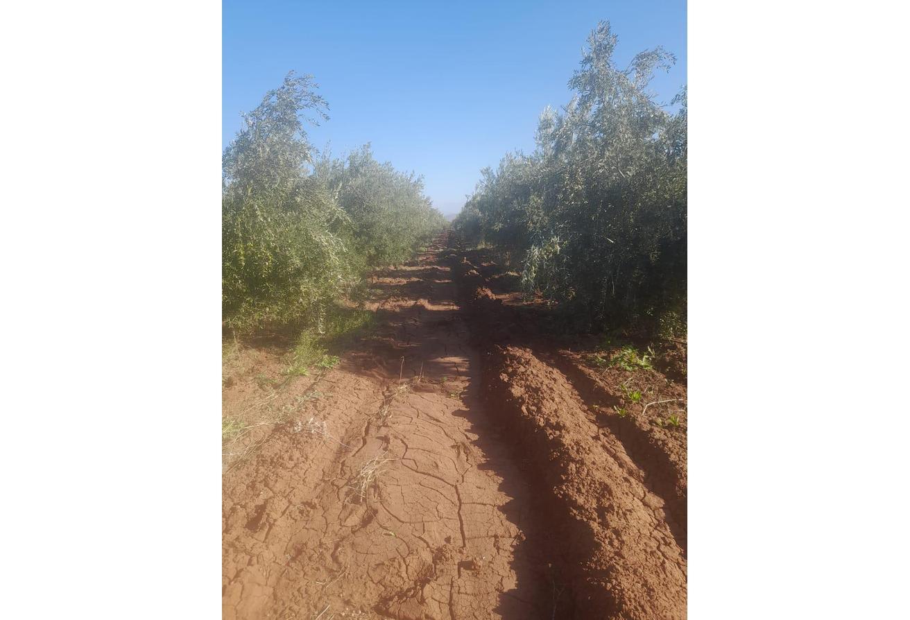 An image of the housing