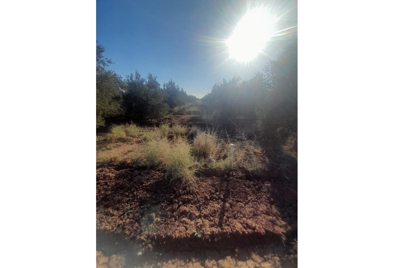 An image of the housing