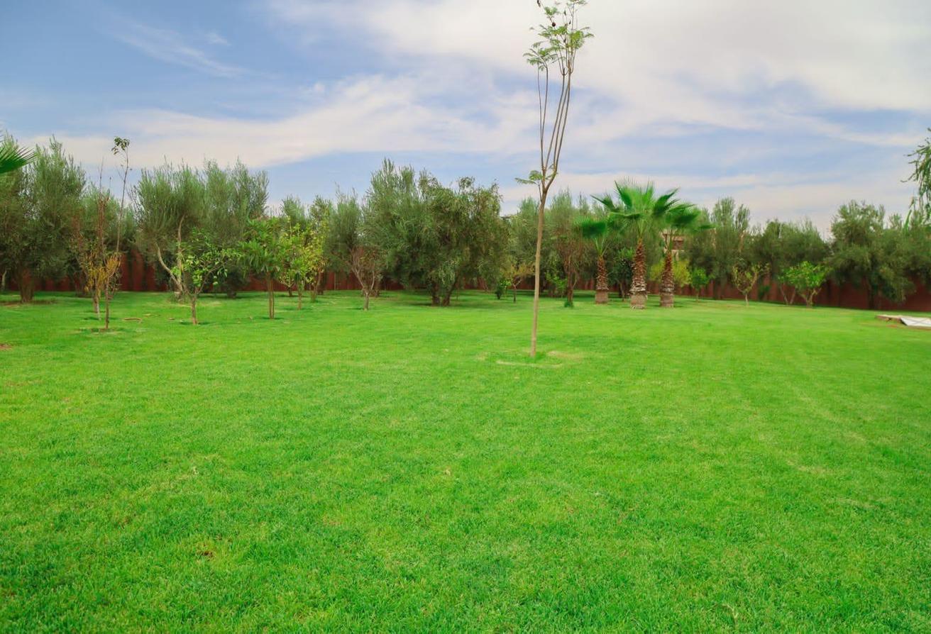 An image of the housing