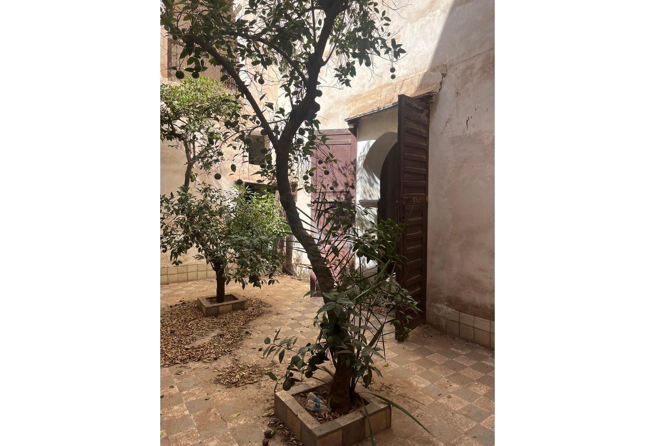 An image of the housing