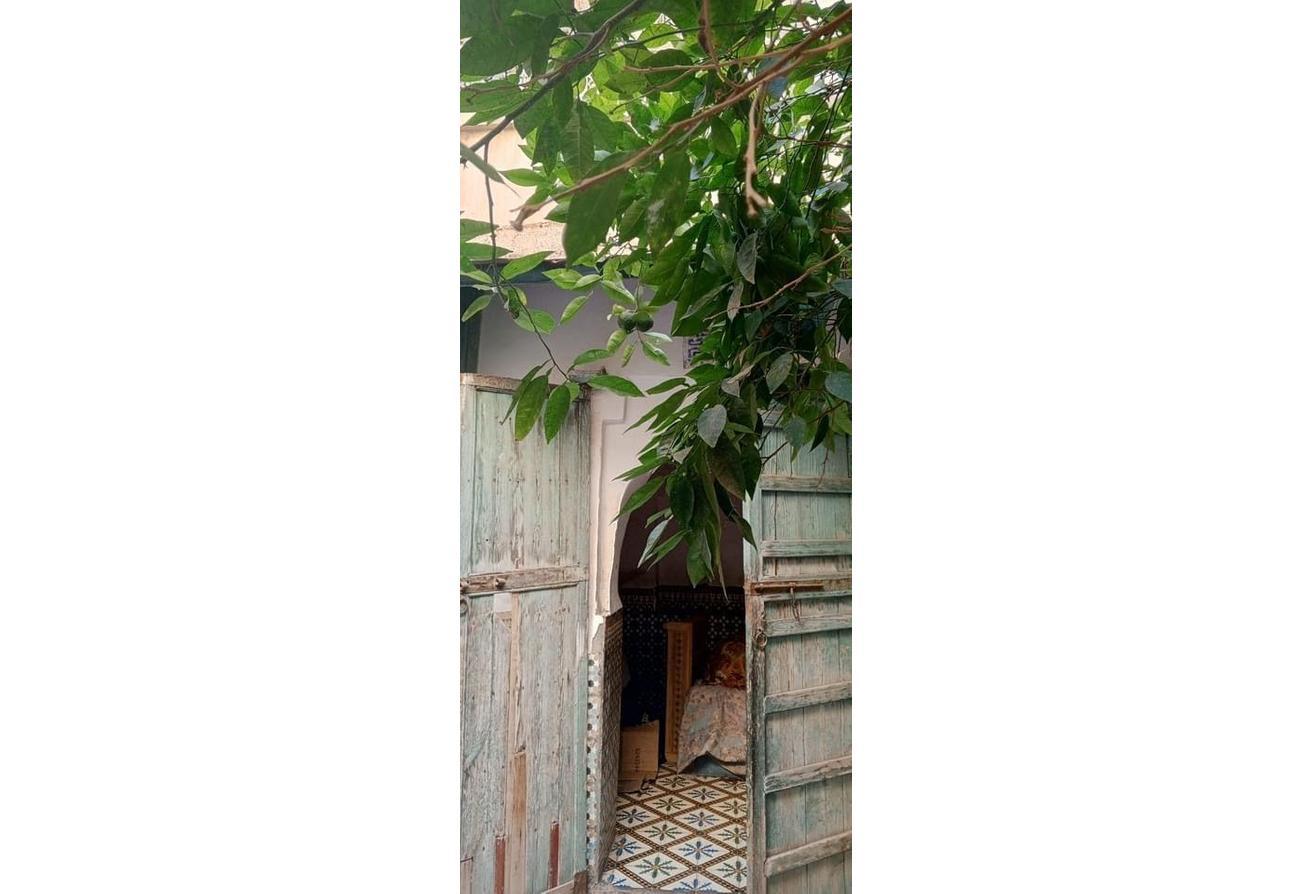 An image of the housing