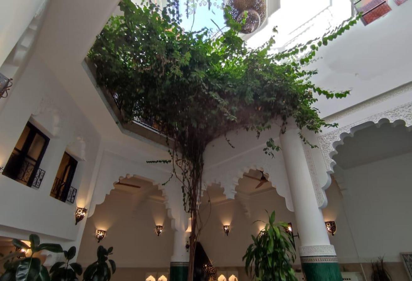 An image of the housing