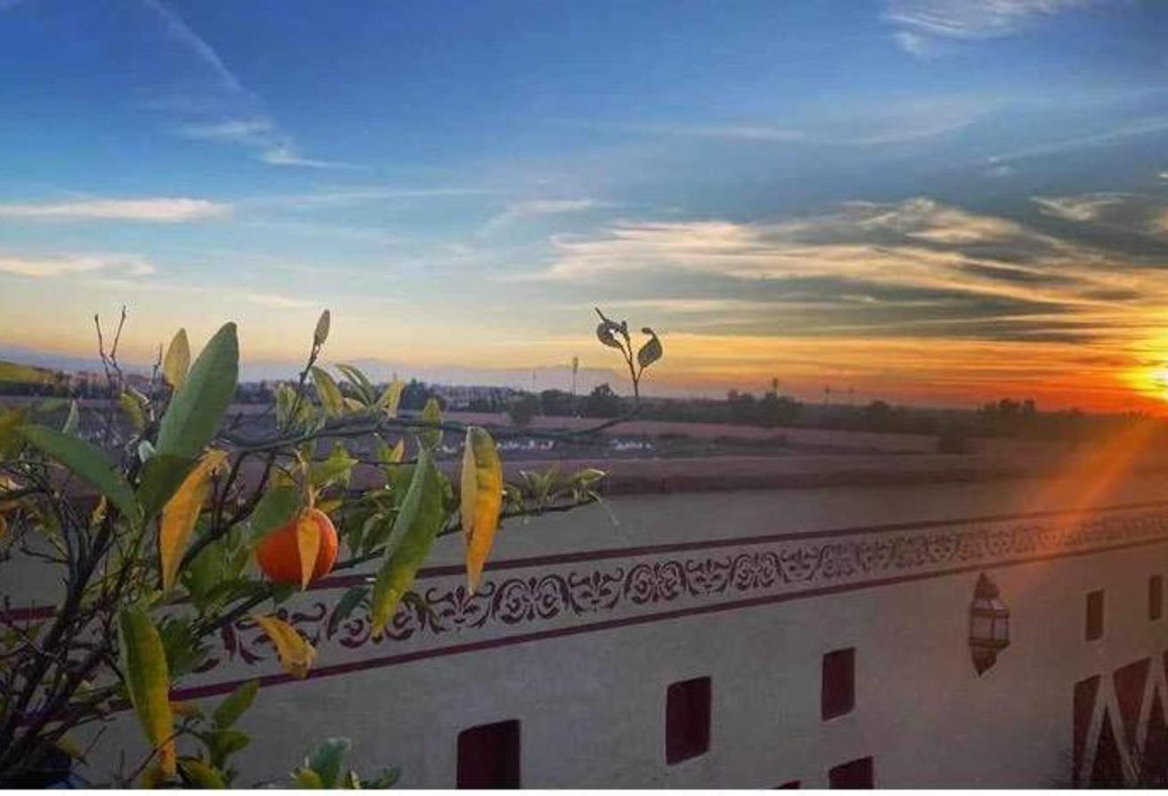 An image of the housing