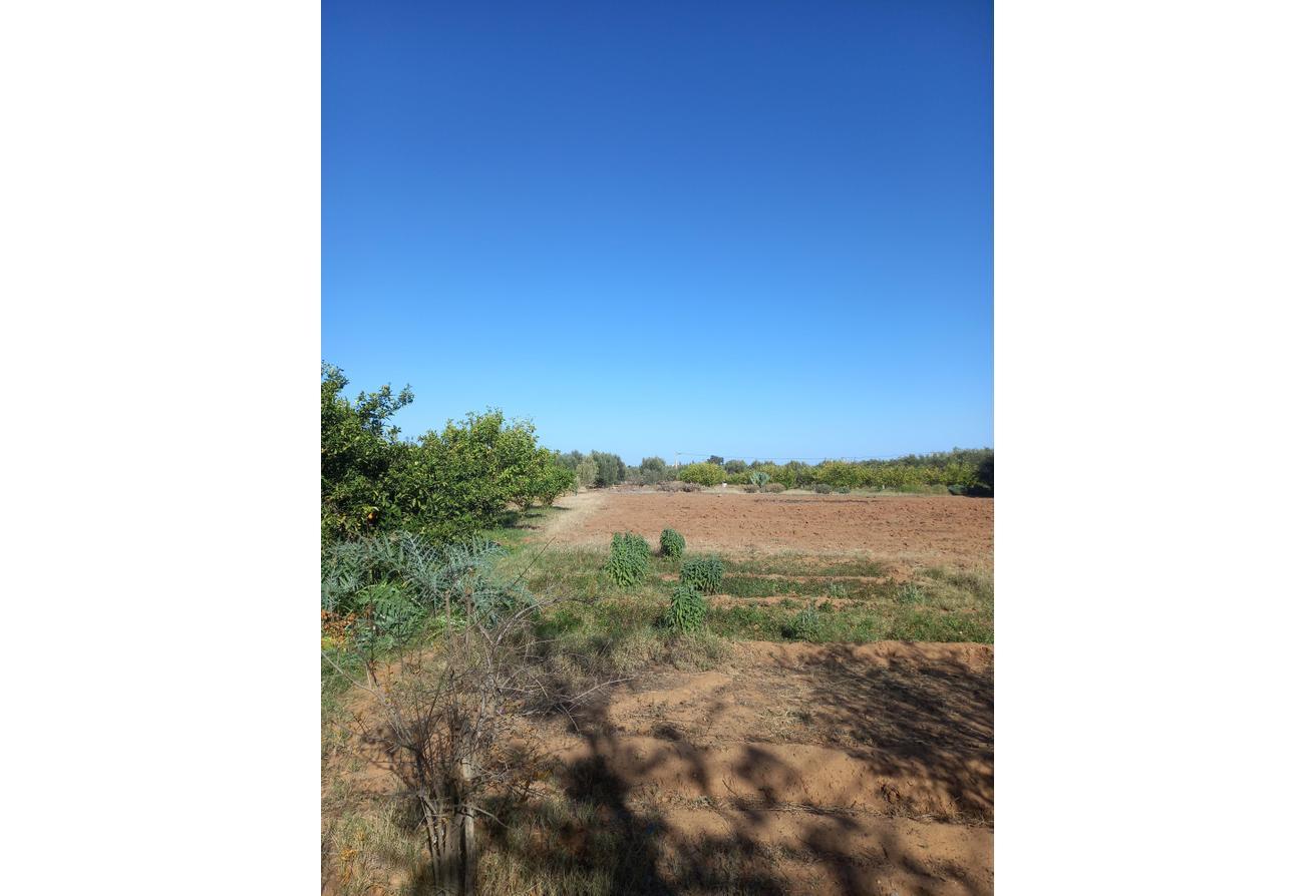 An image of the housing