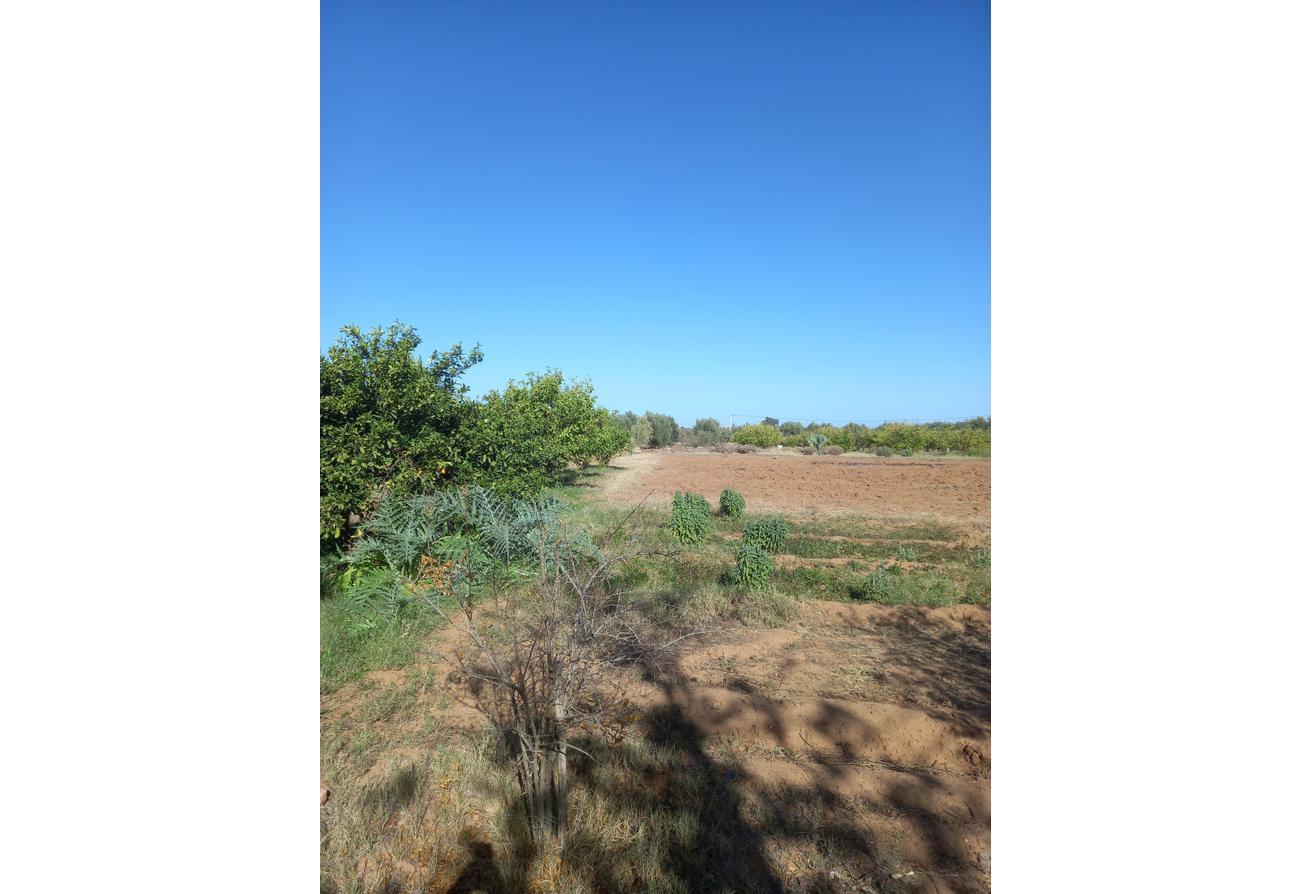 An image of the housing