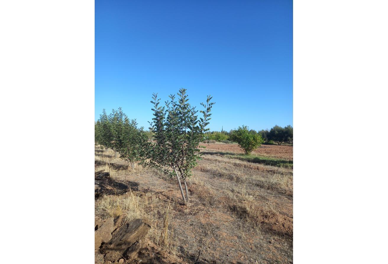 An image of the housing