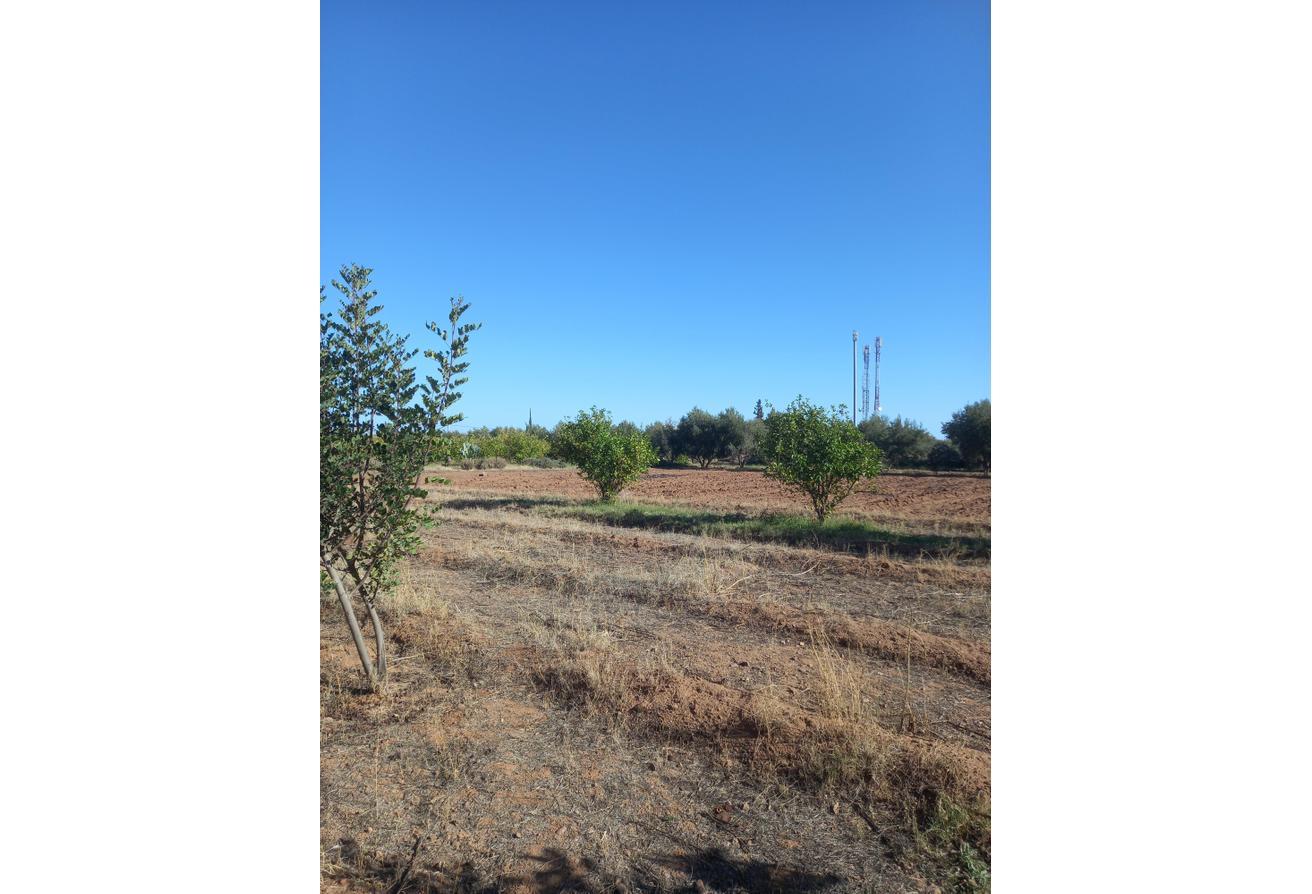 An image of the housing