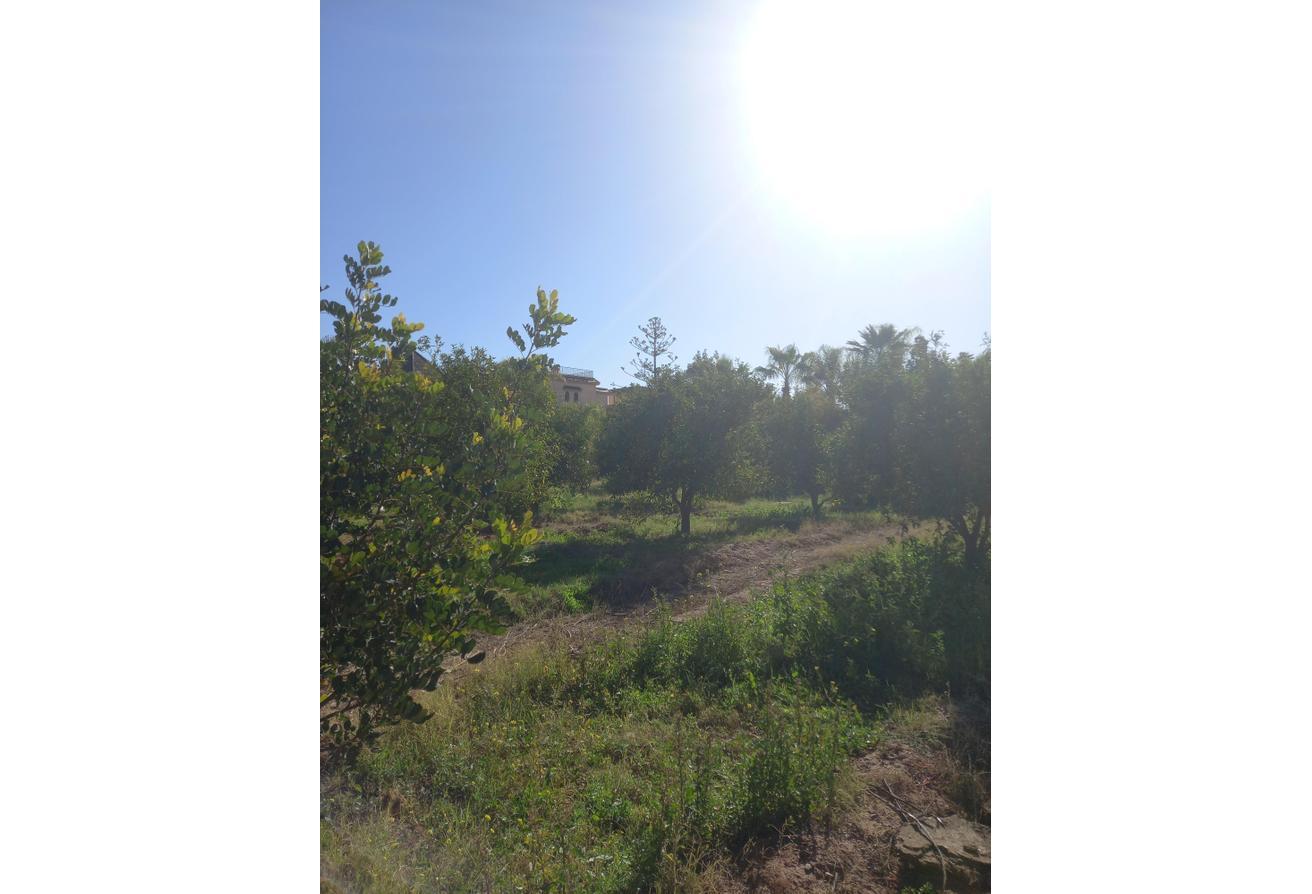 An image of the housing