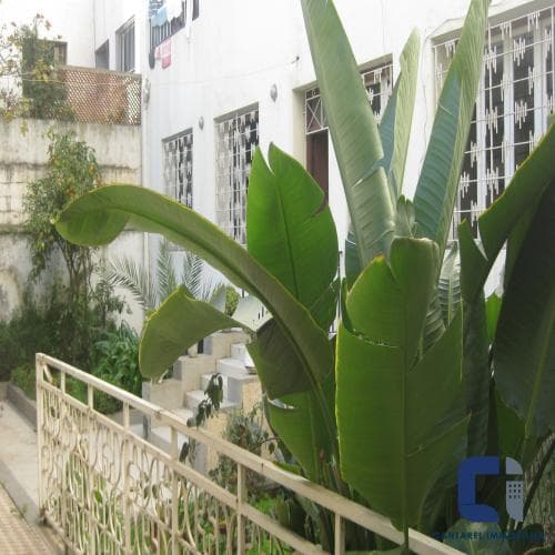 An image of the housing