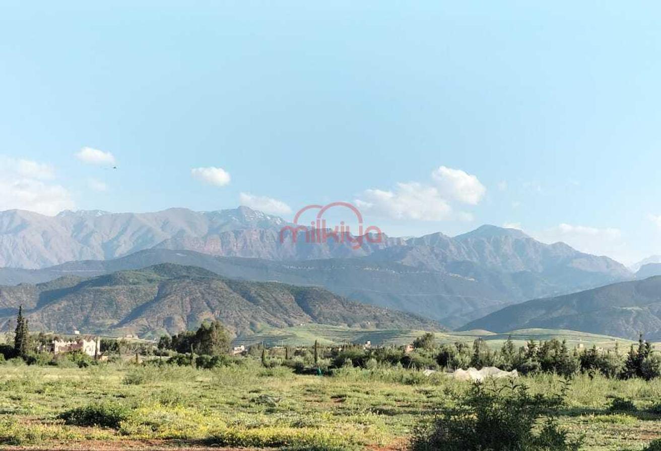 An image of the housing