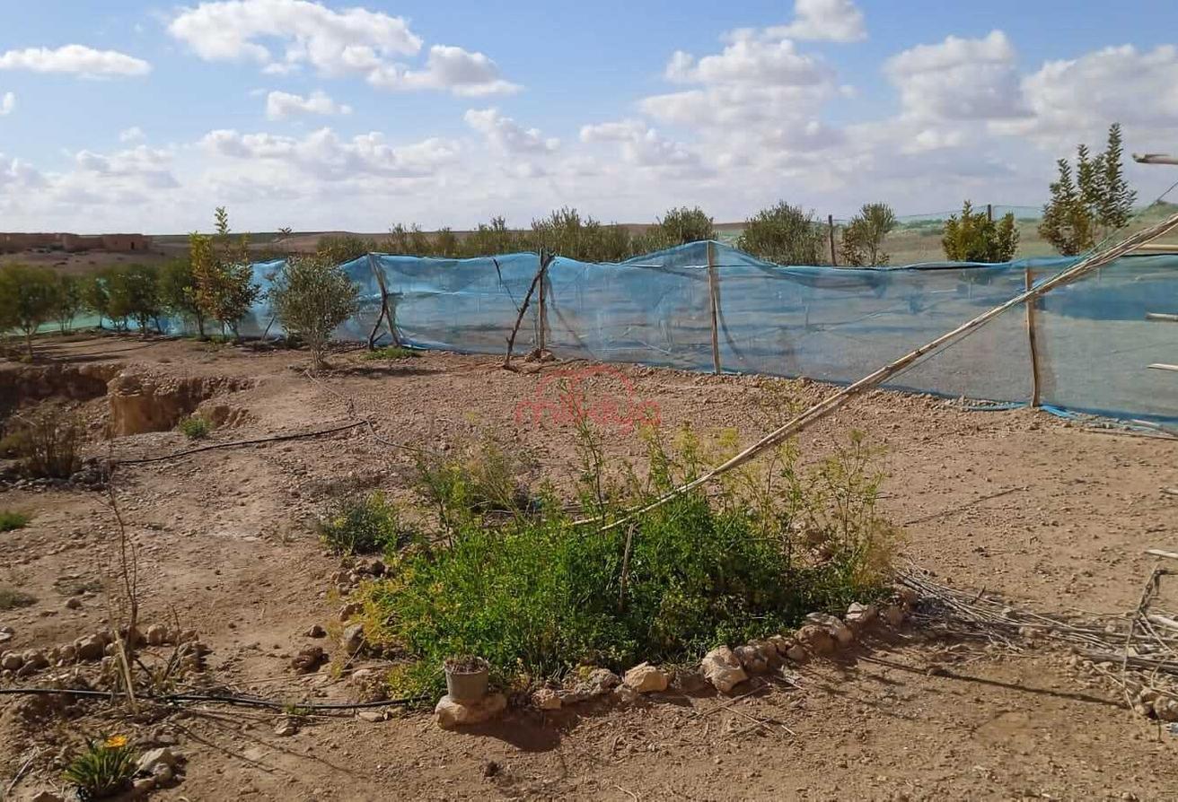 An image of the housing