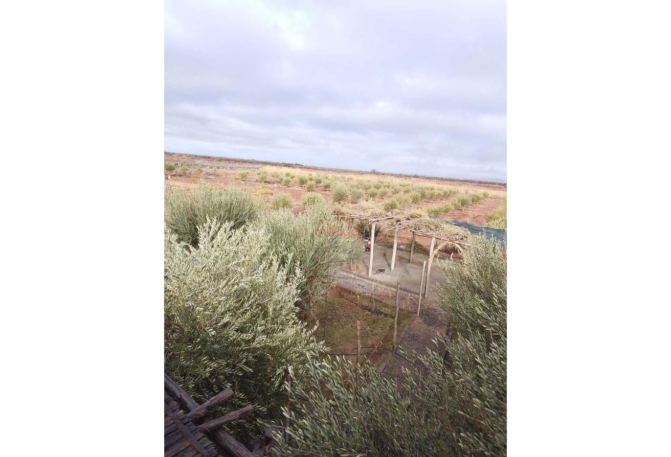 An image of the housing