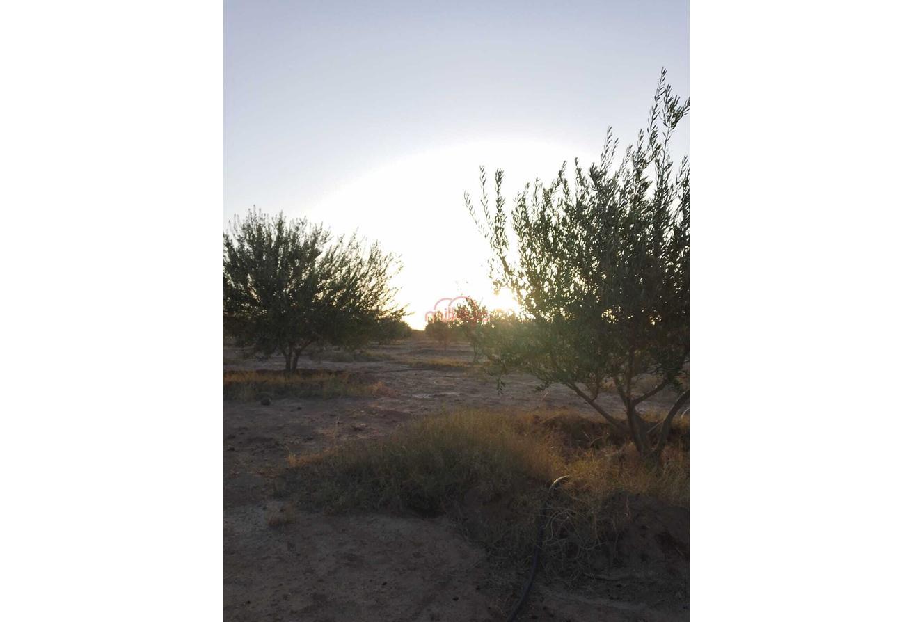 An image of the housing