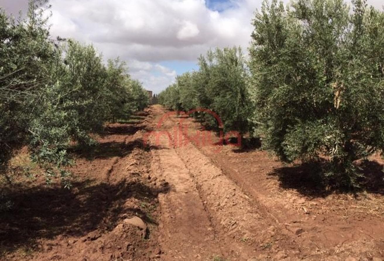 An image of the housing