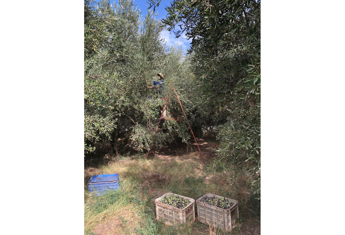 An image of the housing