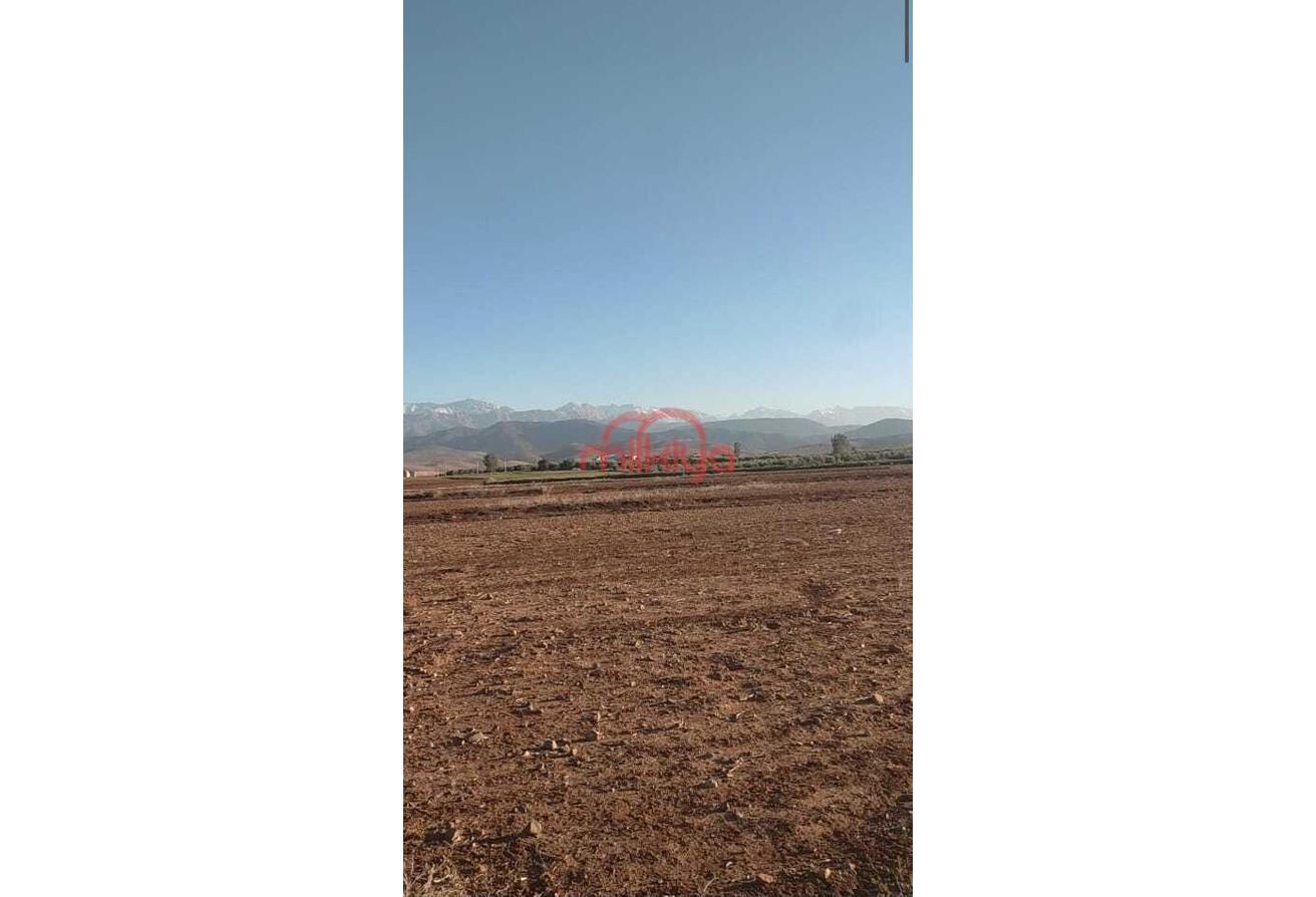 An image of the housing