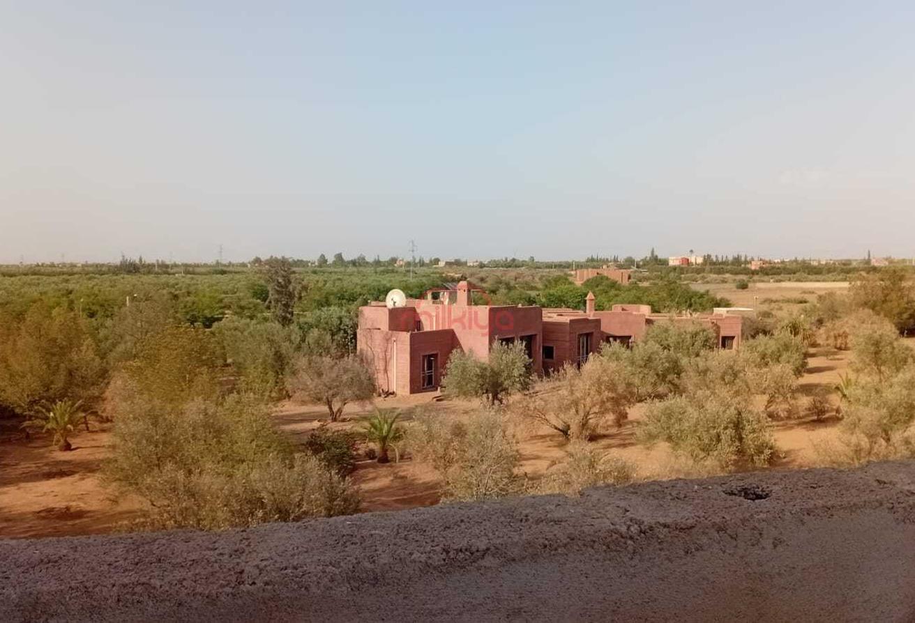 An image of the housing