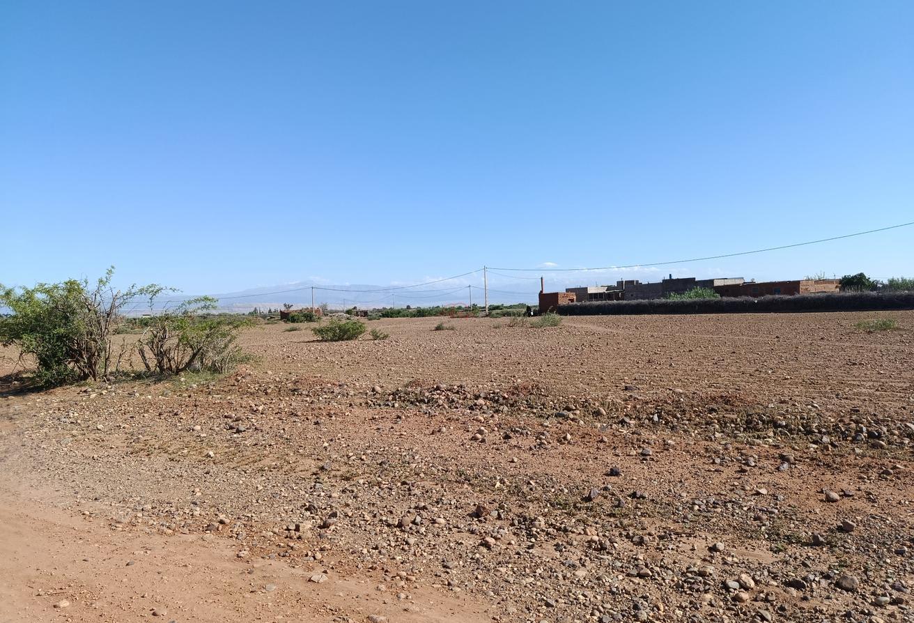 An image of the housing