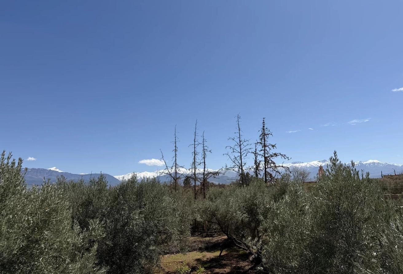 An image of the housing