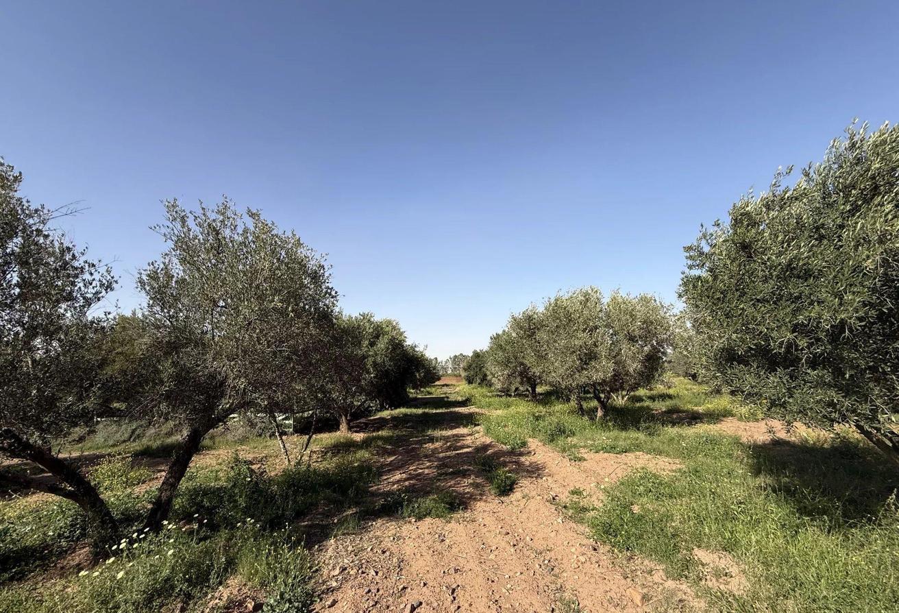 An image of the housing