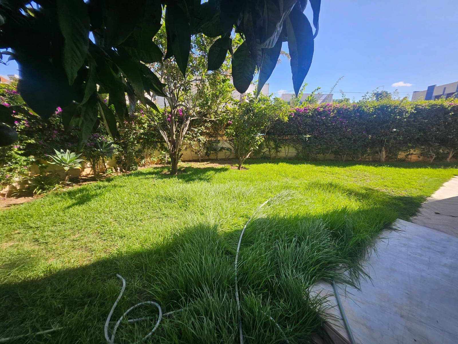 An image of the housing