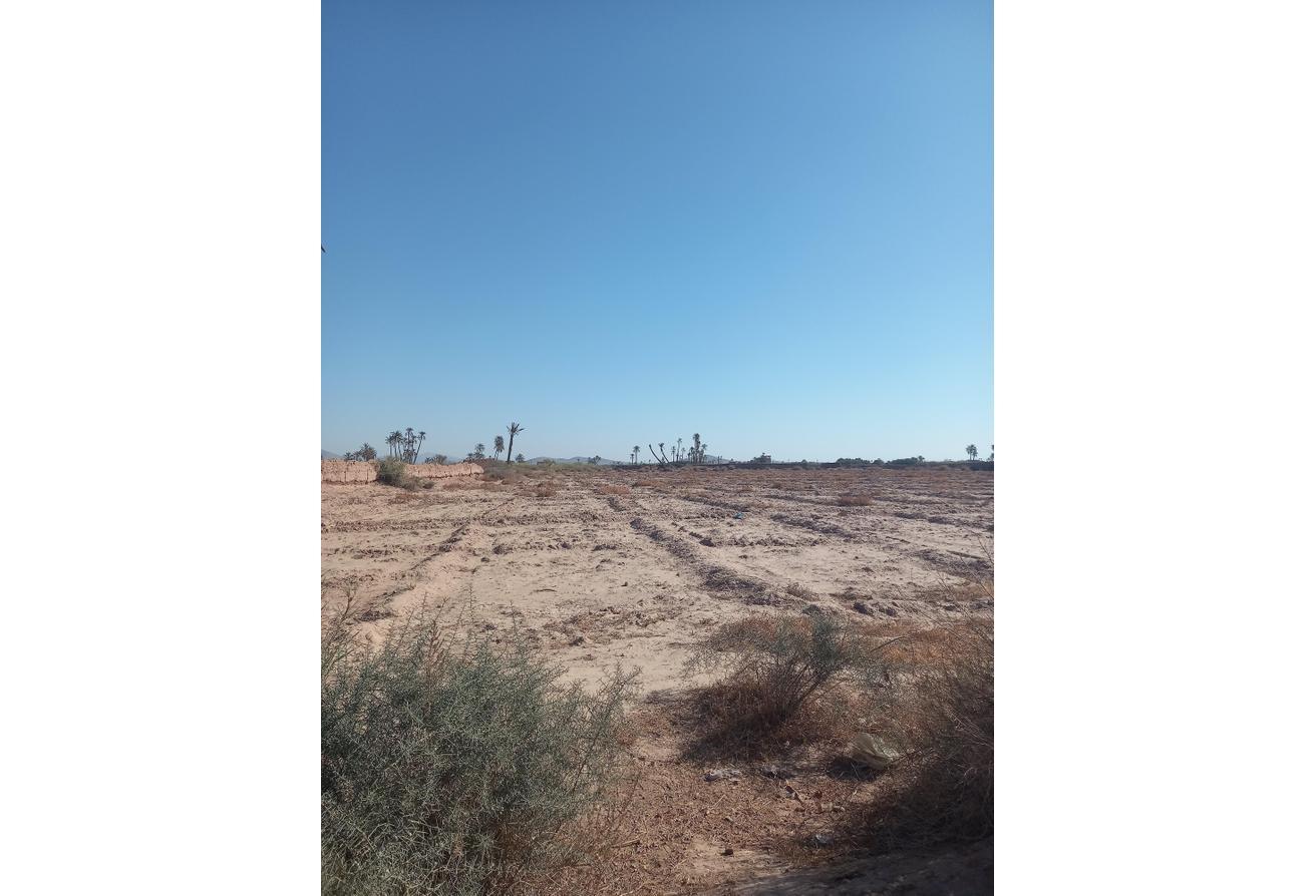 An image of the housing