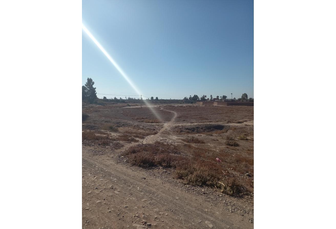 An image of the housing