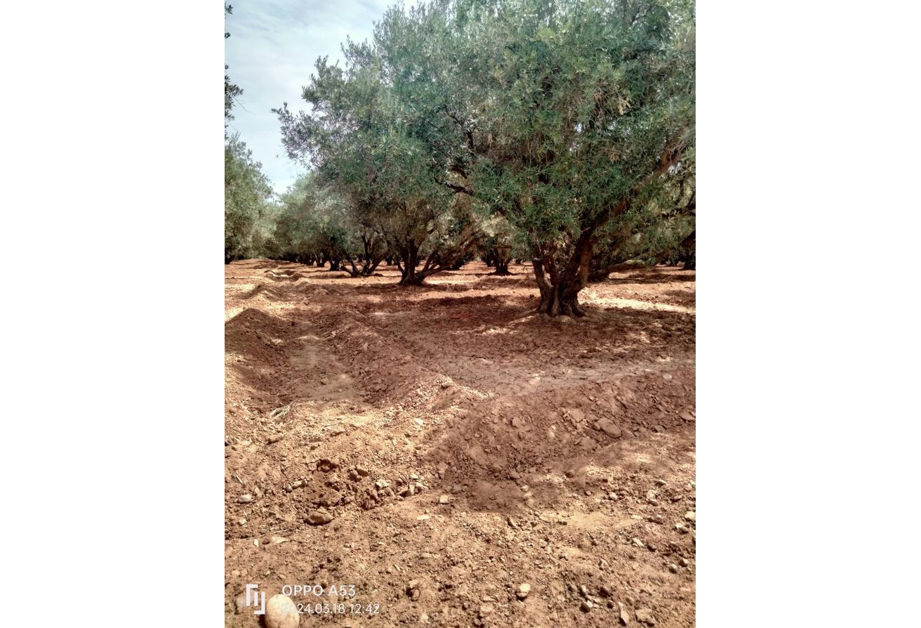 An image of the housing