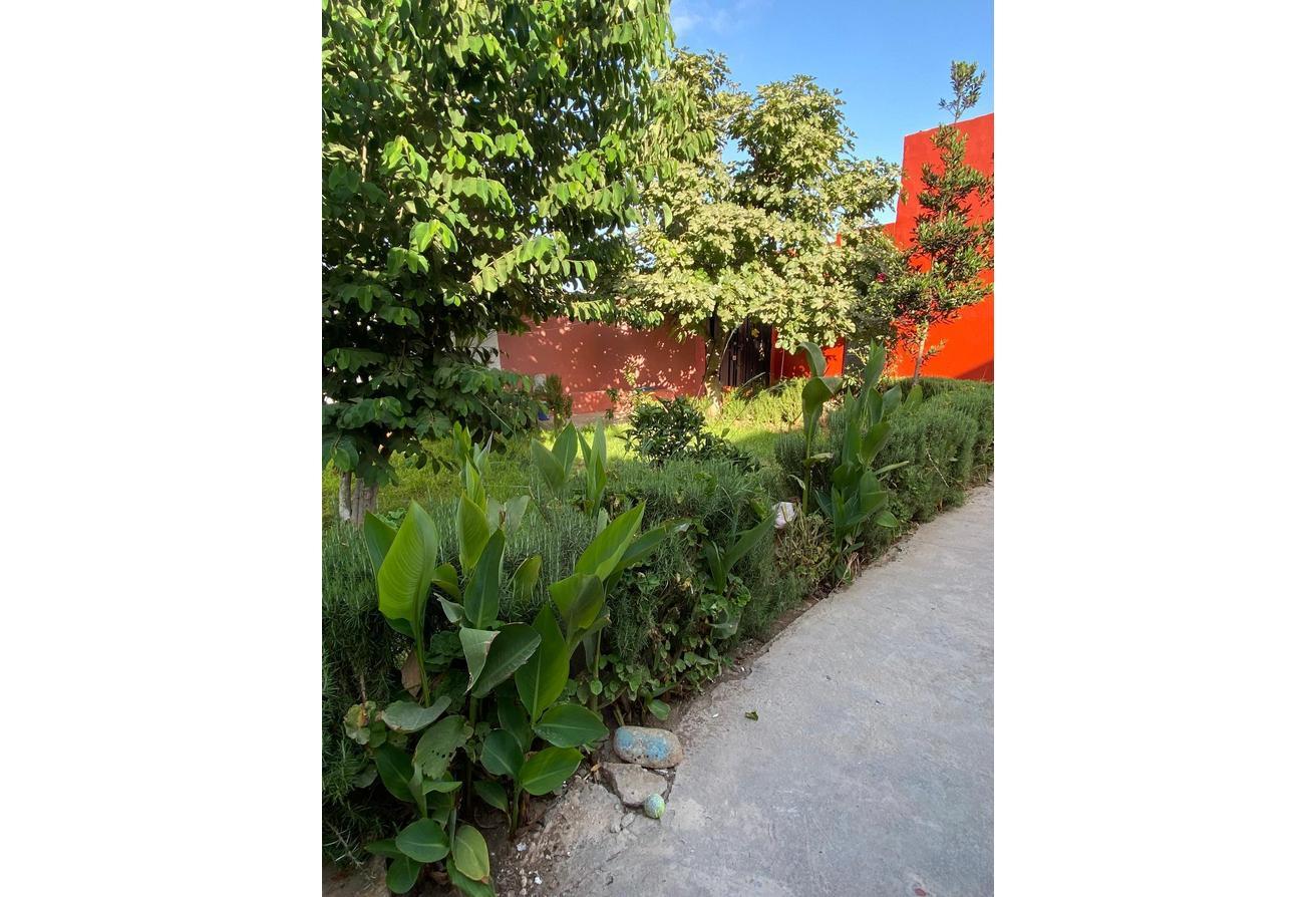 An image of the housing