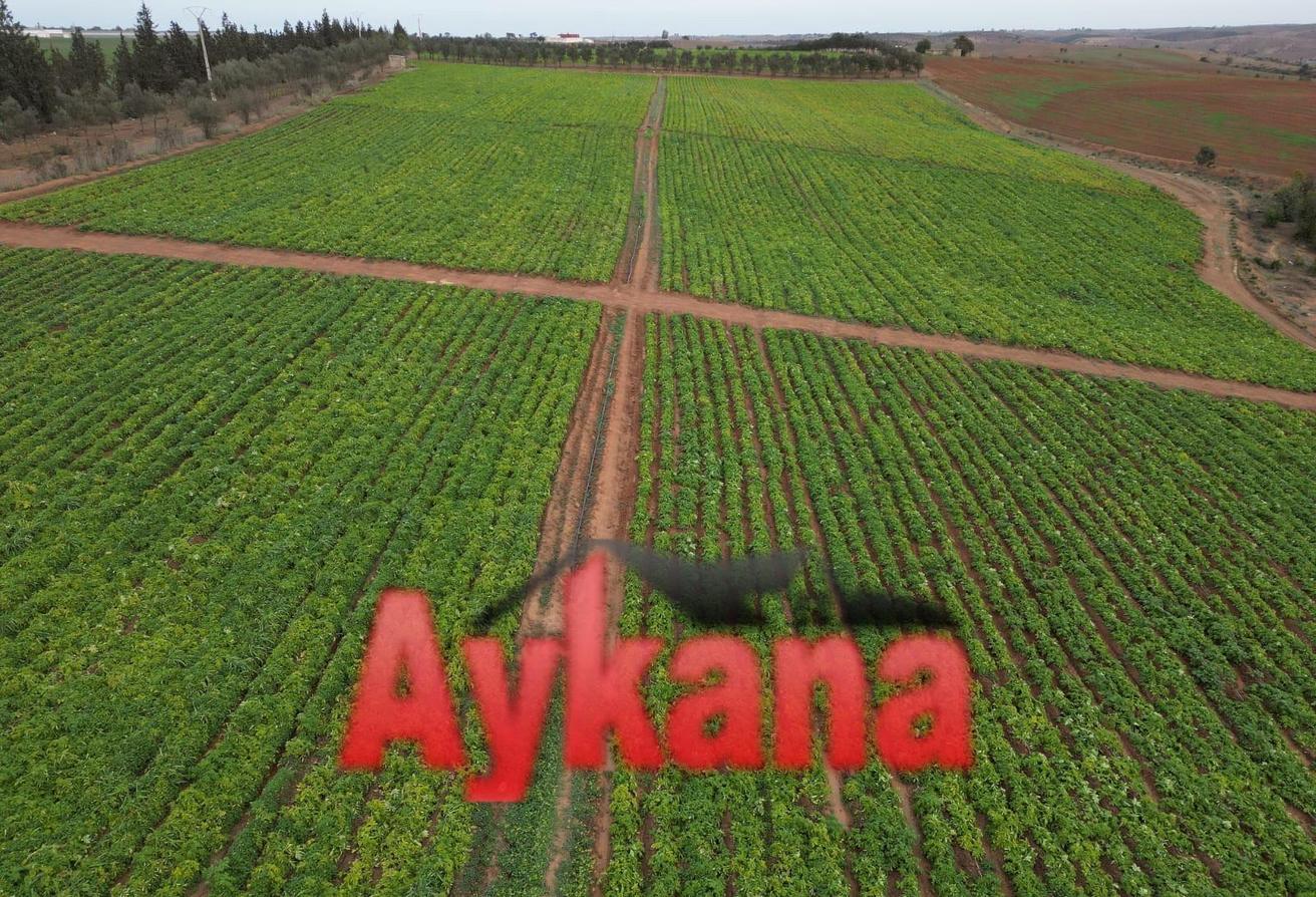 An image of the housing