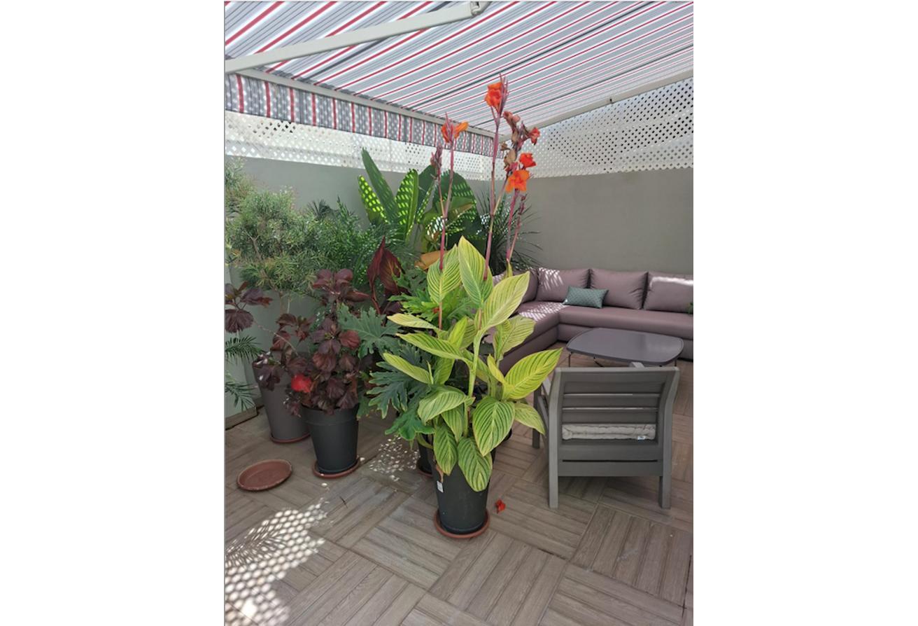 An image of the housing