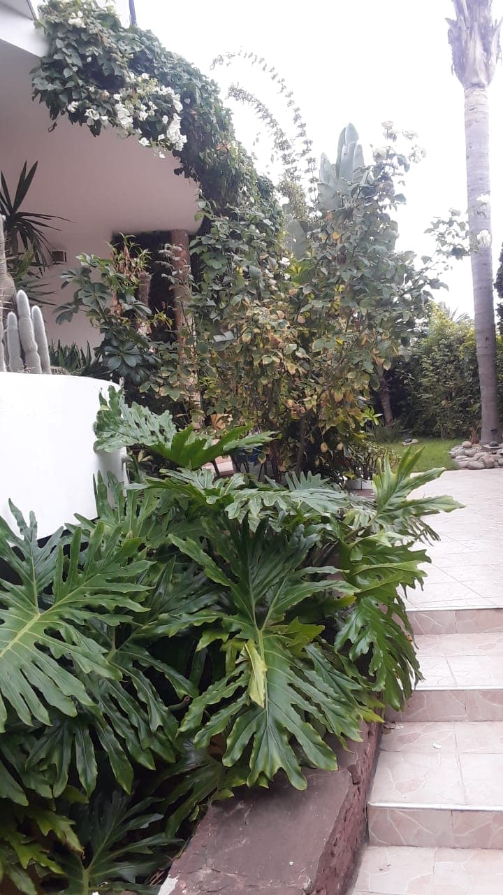 An image of the housing