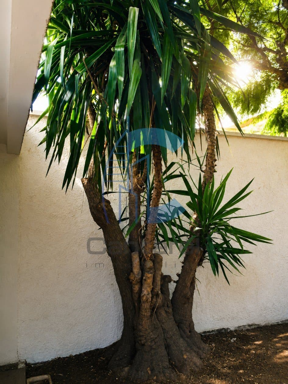 An image of the housing