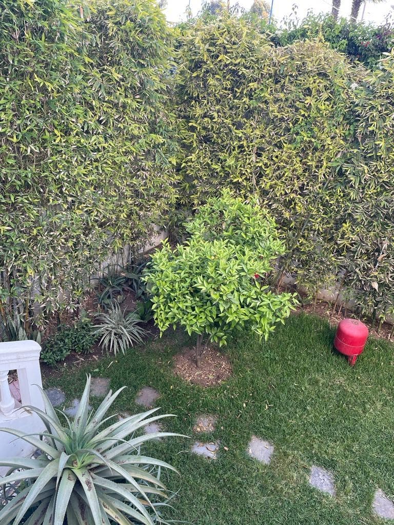 An image of the housing