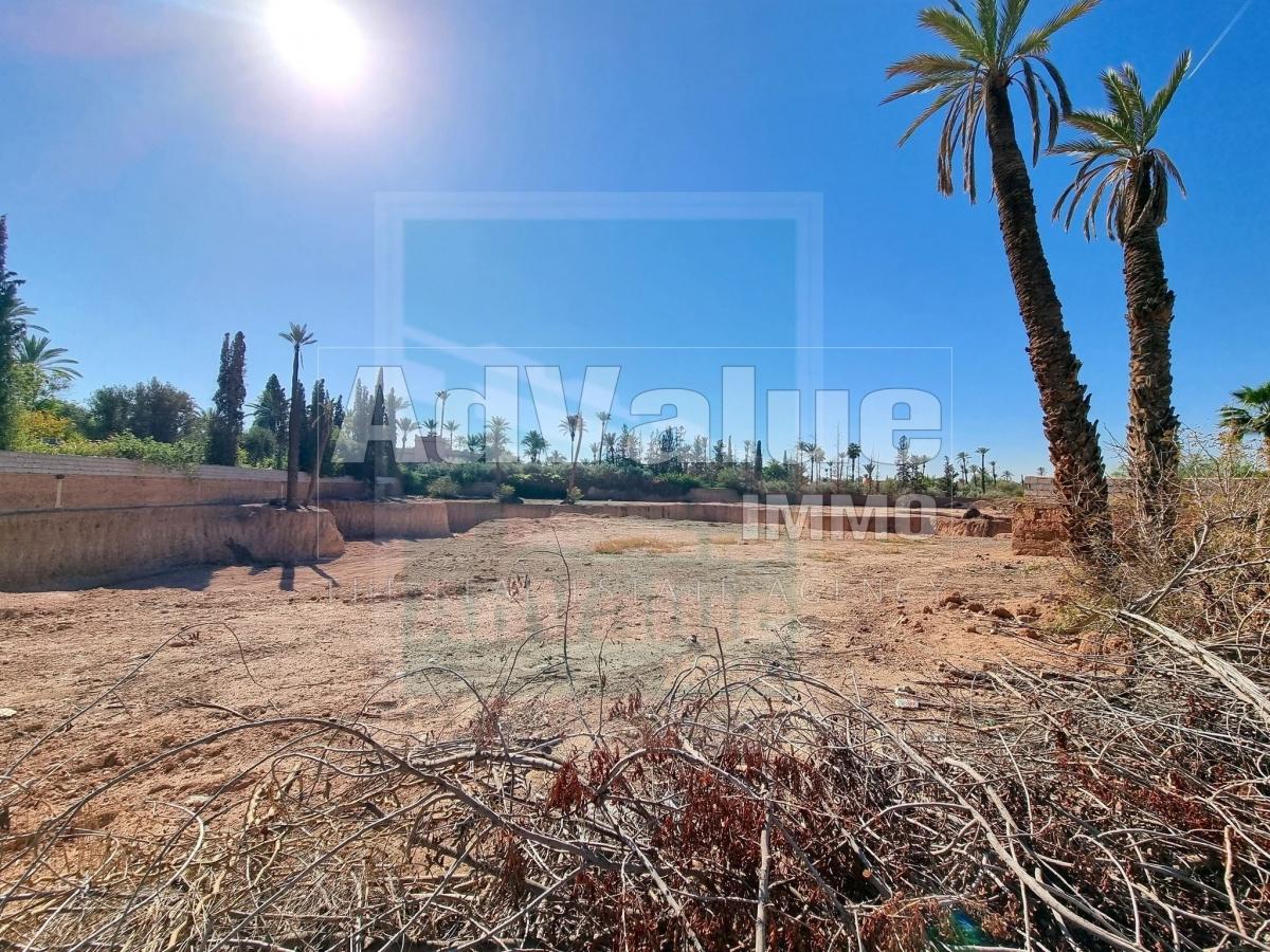 An image of the housing